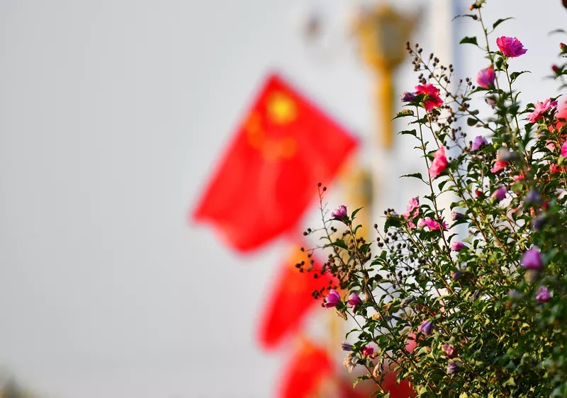 1569839540722159.jpg image013.jpg